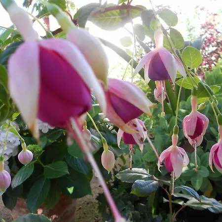 Holiday home Casa Rural Isabel *